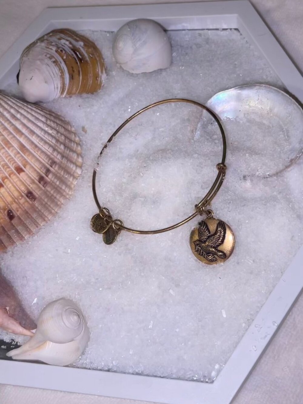 Alex and Ani - Sacred Dove Charm Bangle
